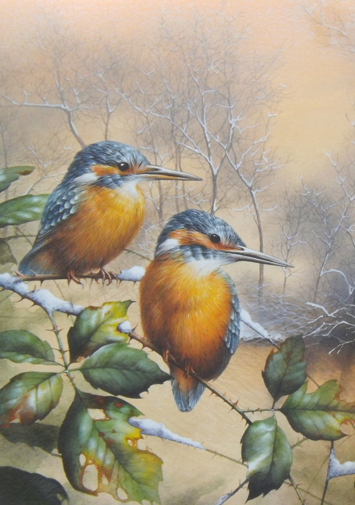 Winter Kingfishers